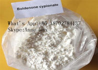 Boldenone Cypionate CAS 106505-90-2 Proszek C26H38O3 Skuteczny w budowaniu mięśni
