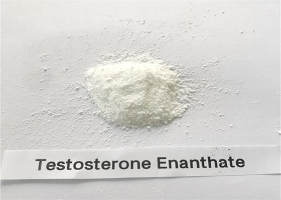 Kulturystyka Testosteron Enanthate Steroid Powder CAS 315-37-7 99% Czystość
