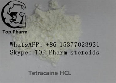 99% czystości Chlorowodorek tetrakainy / tetrakaina HCL / butetanol / miejscowy środek znieczulający butylokaina CAS 136-47-0