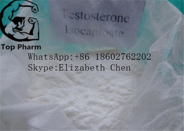 99% czystego surowego proszku testowego Testosteron Isocaproate CAS 15262-86-9 whte kulturystyka w proszku