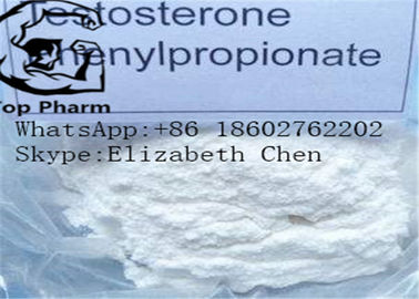 Testosteron Phenylpropionate CAS 1255-49-8 Sterydy szybkiego wzrostu mięśni biały proszek kulturystyka powder