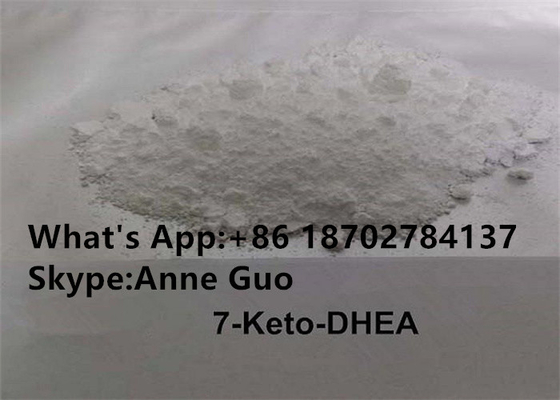 99% czystości 7-KETO DHEA Steroid Raw Powder CAS 566-19-8 dla zdrowia immunologicznego